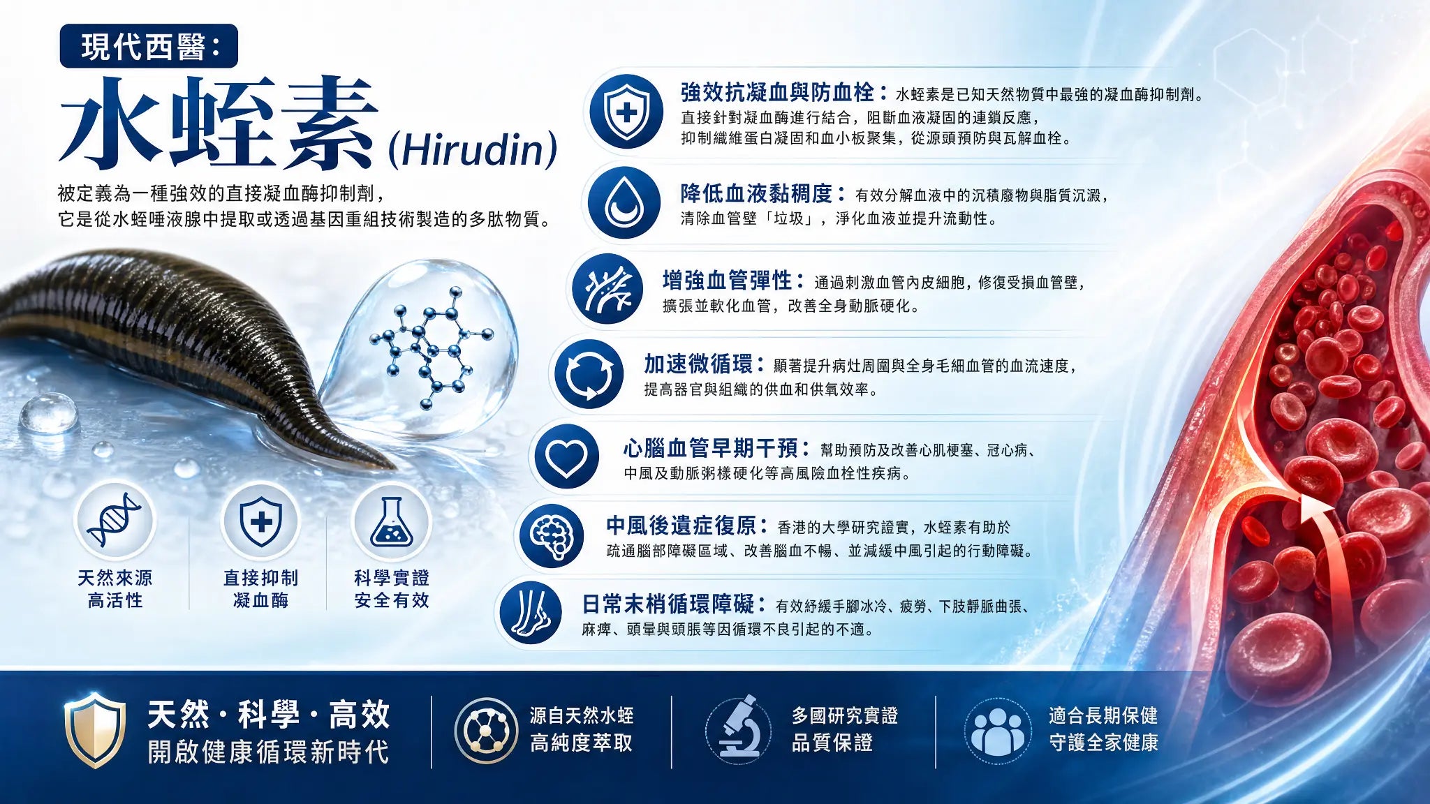 水蛭素現代醫學資料圖